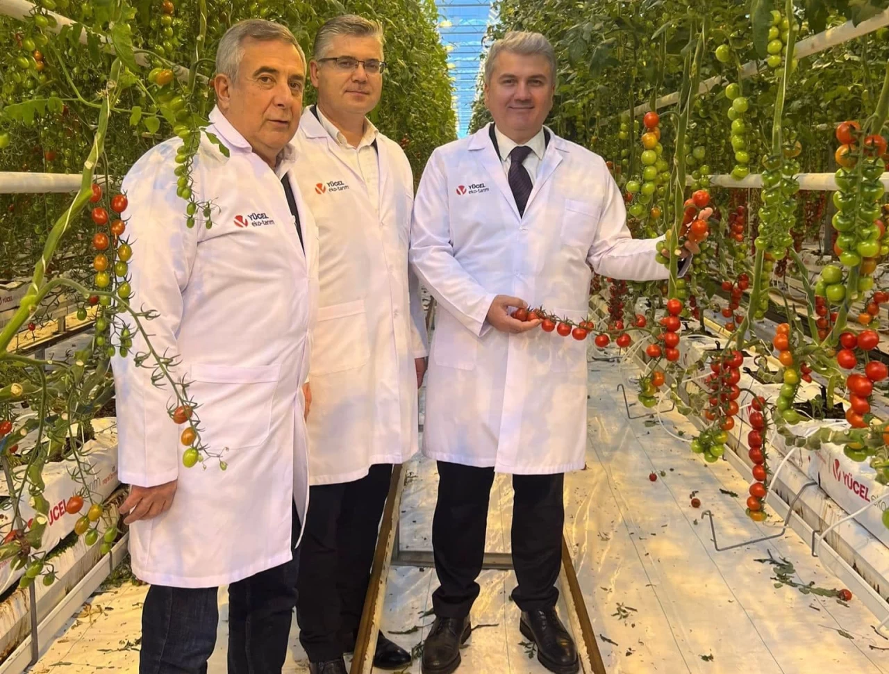 Mustafa Canbey: Gönen Sera OSB, Türkiye’yi tarımın yıldızı yapacak