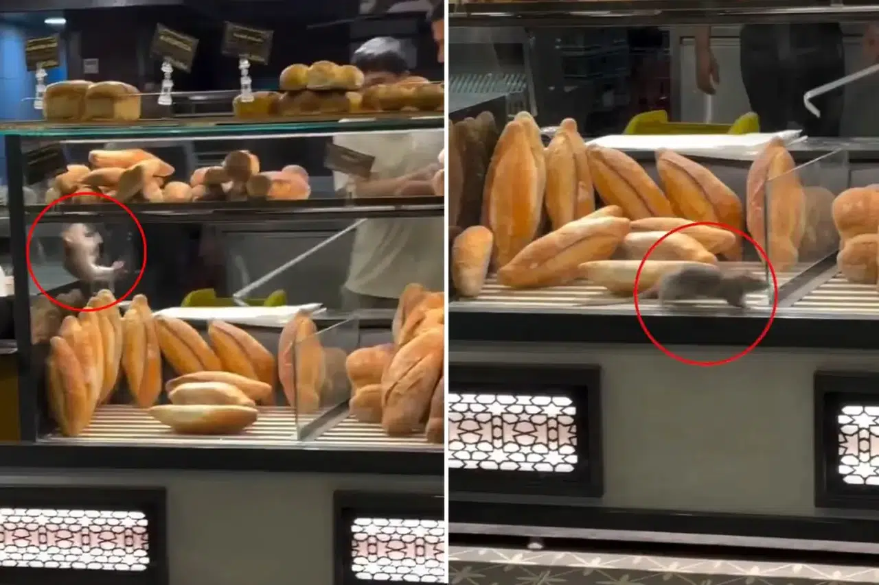 Ekmeklerin arasında fare gezdi, fırıncı susturmak için servet teklif etti!