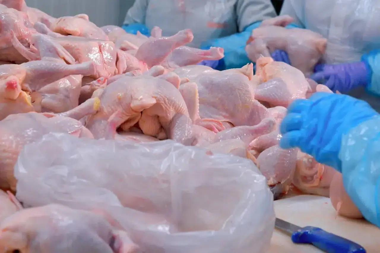 Barış Tavukçuluk konkordato mu ilan etti? Mahkeme ne karar verdi?