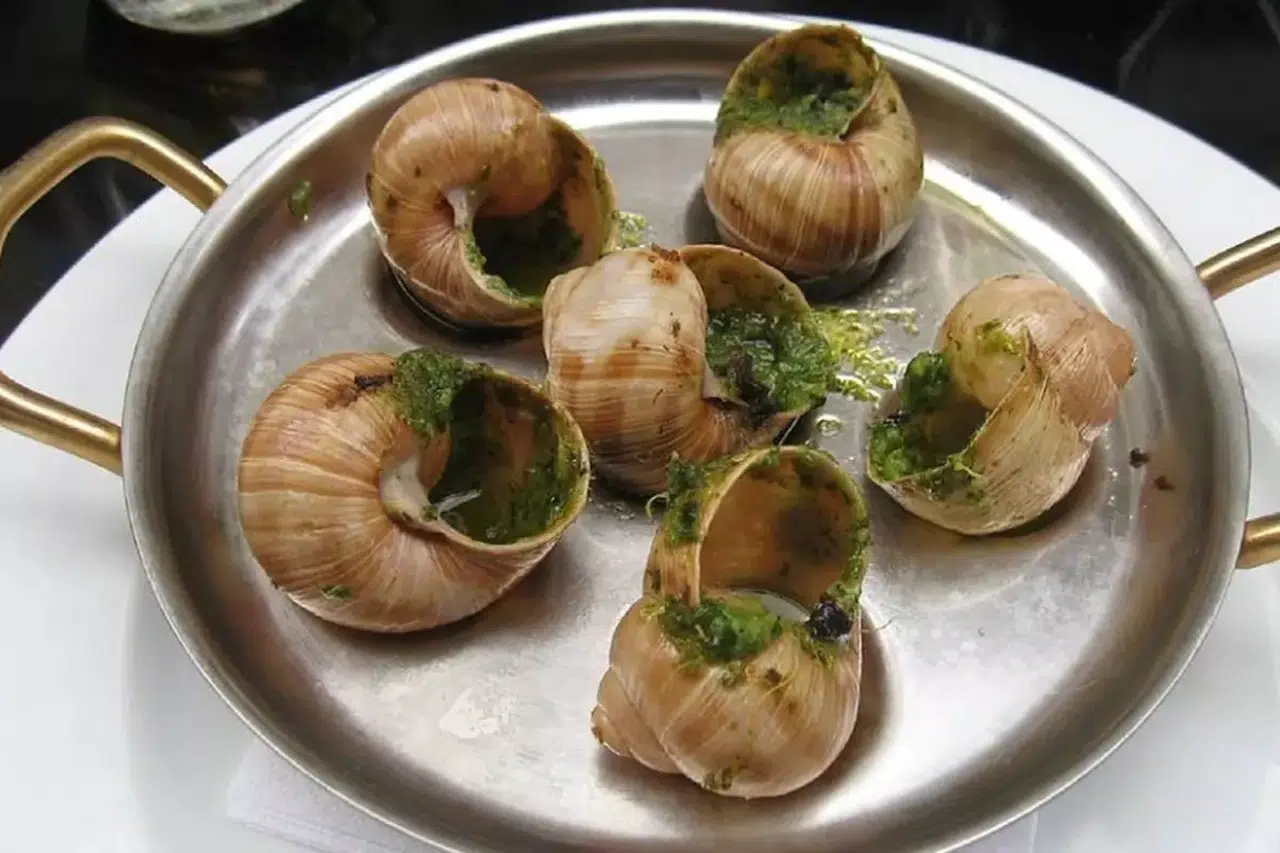 Salyangoz Hırsızlığıyla Şok! Fransa’da 4 Milyonluk Vurgun Gıda Dünyasını Sarstı