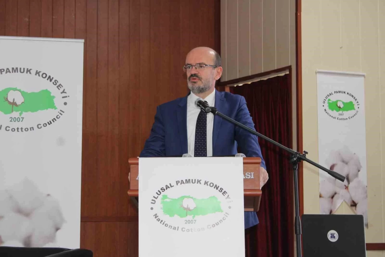 Pamuk Üreticilerine Beklenmedik Destek: Toprağa Ekilmeden Açıklandı!