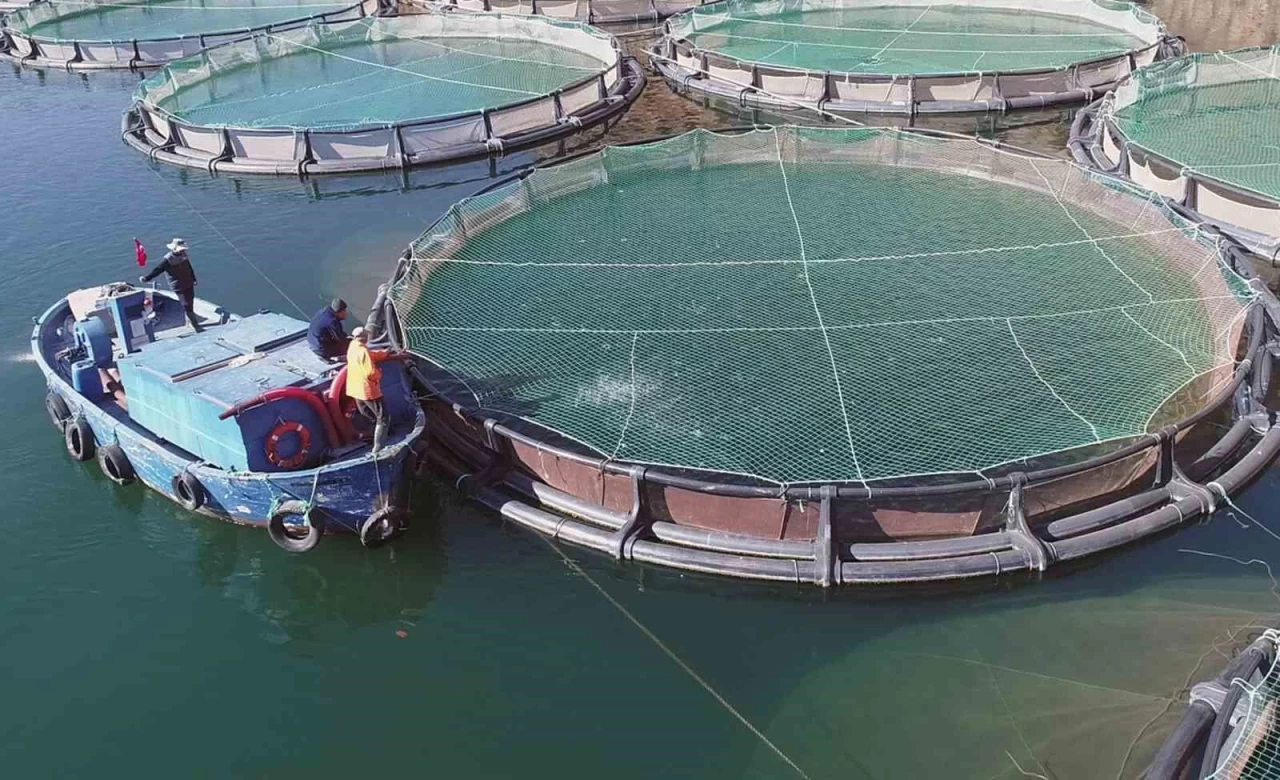 Muğla'nın Su Ürünleri İhracatı Mart Ayında 135 Milyon Doları Buldu