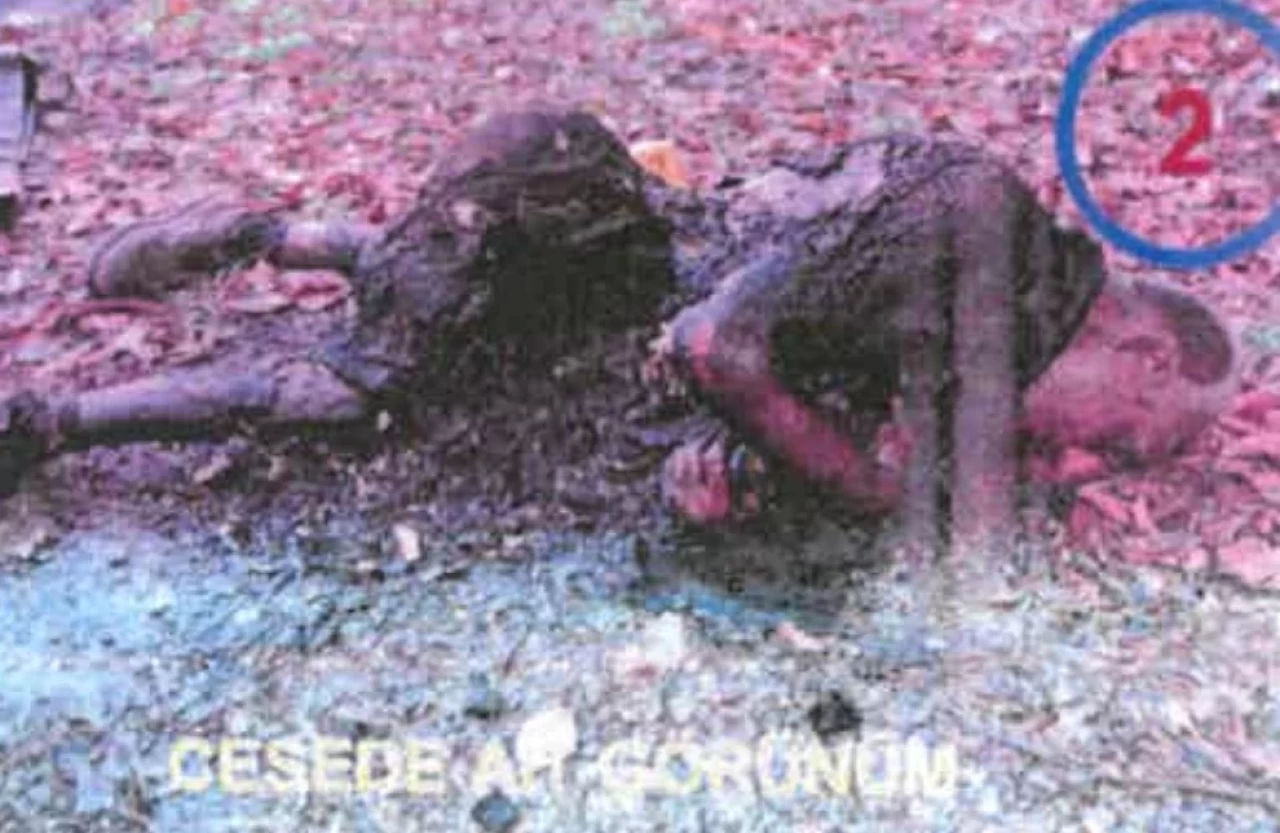 Biz bastık! Siz bakabilir misiniz?