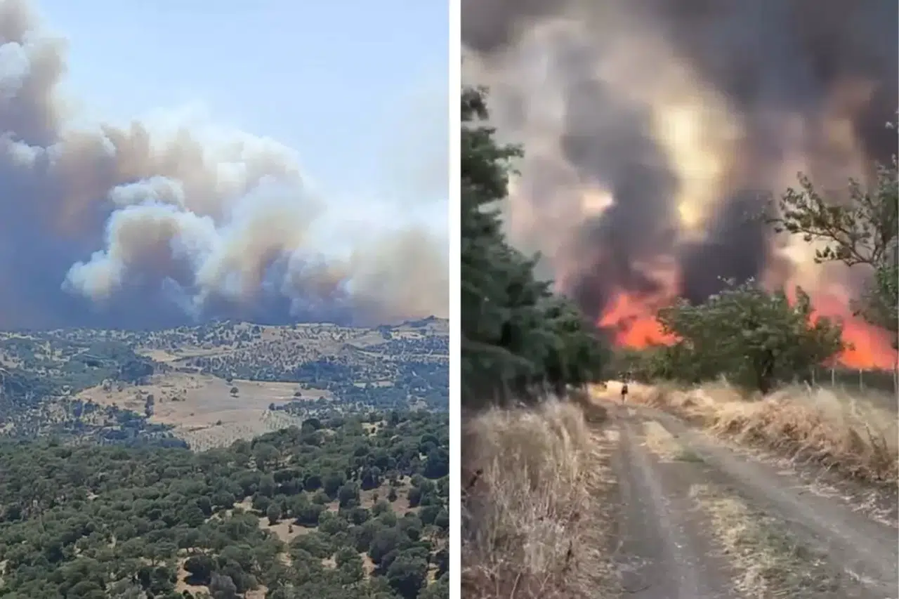 Türkiye Alevlere Teslim: İki İlde Tahliye Kararı, Yangınlar Yerleşim Yerlerini Sardı