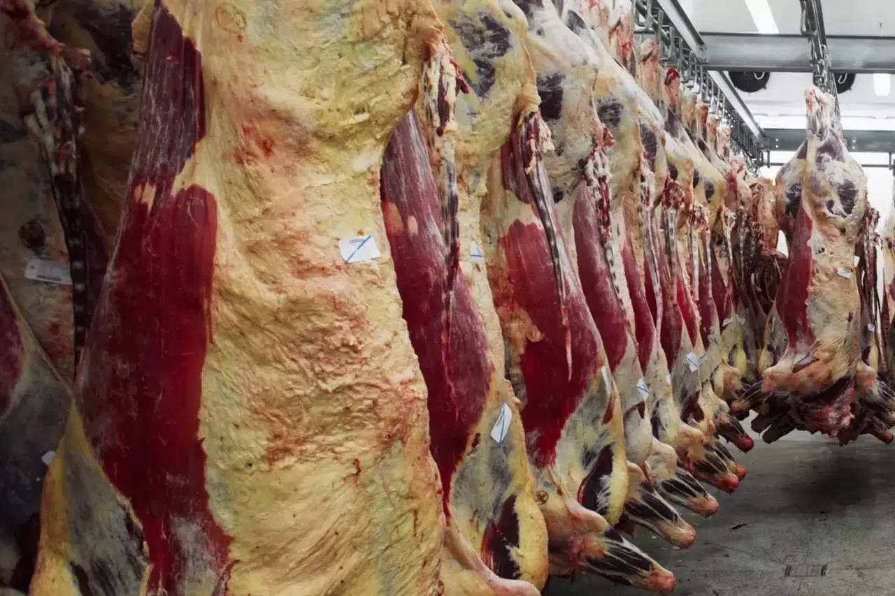 38 Yıllık Dev Gıda Markasında Şok! Konkordato Kararı Geldi