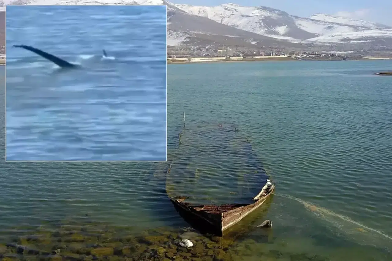 Van Gölü Canavarı Yine Gündemde! Tatvan'da Gizemli Cisim Kameraya Yansıdı