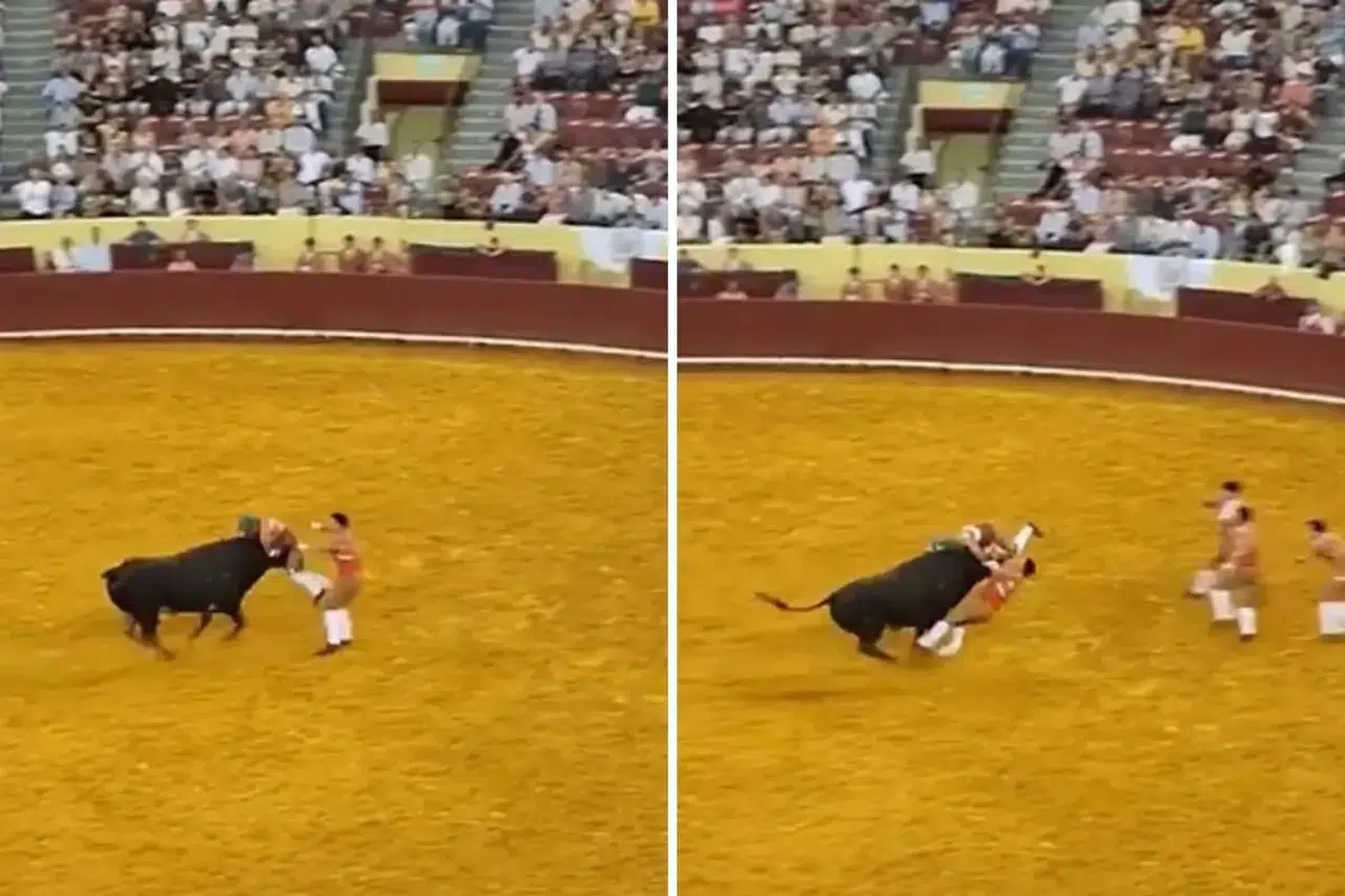 Boğa arenasında ölüm: Genç güreşçi ve doktor aynı gece hayatını kaybetti!