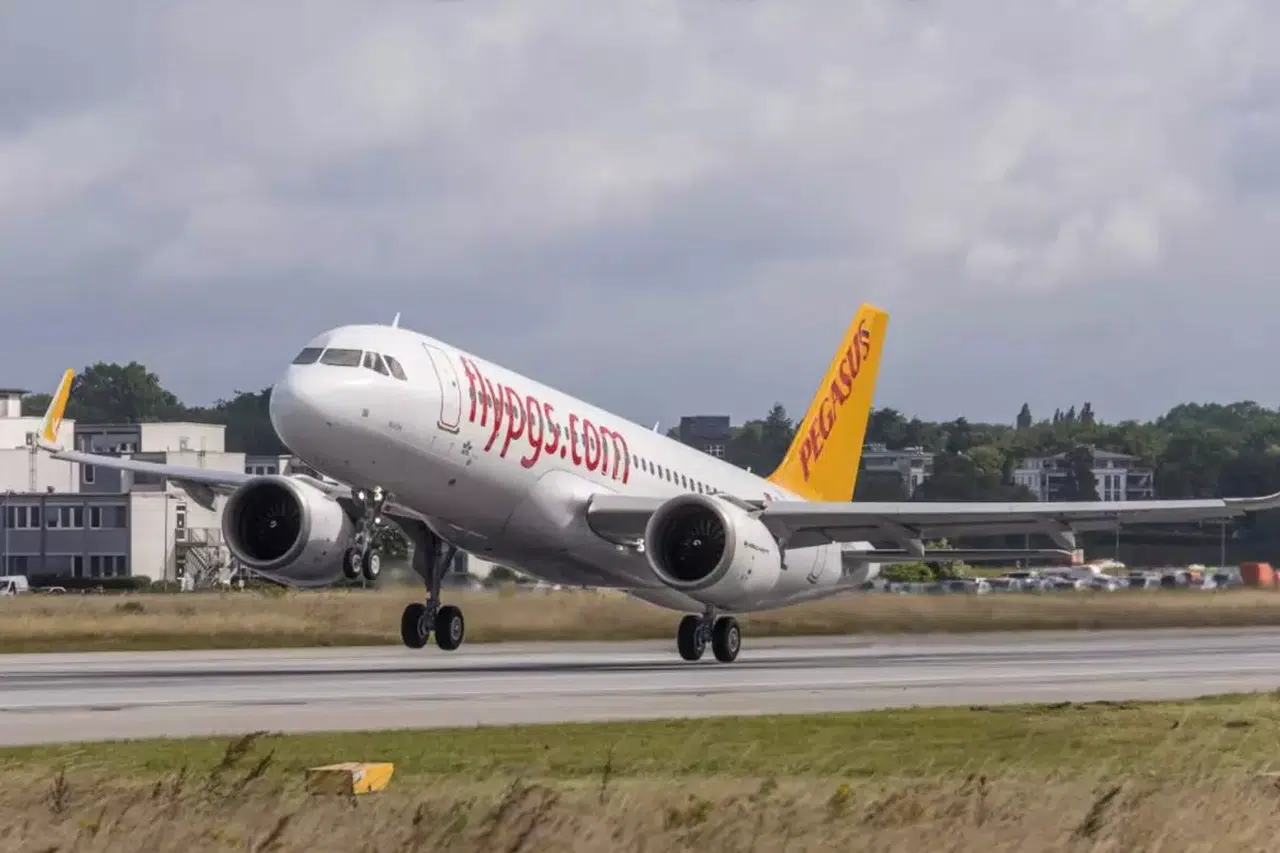 Leylek sürüsüne çarpan uçak neden acil iniş yaptı? Sabiha Gökçen’de ne oldu?