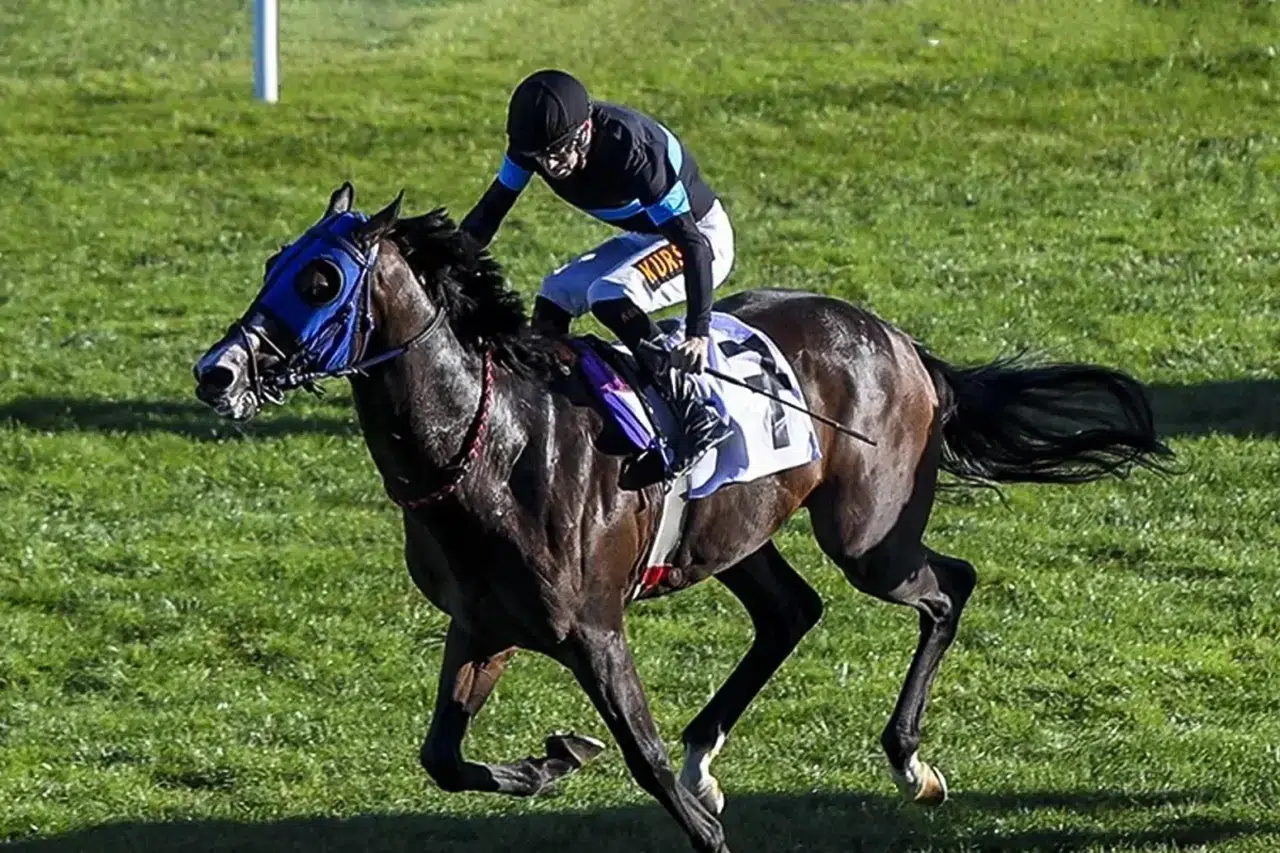 Meclis’te “100 Milyon TL’lik Atlar Kayıp” İddiası: TİGEM’den Sert Yanıt