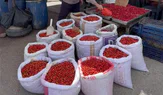 Kuşburnunda Bolluk Fiyatları Yarıladı