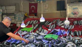 Palamut Bolluğu Fiyatları Düşürdü: Tanesi 75 Lira