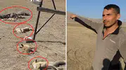 Van’da Korkunç Manzara! Hayvan Otlatırken Gördüklerine İnanamadı