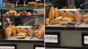 Ekmeklerin arasında fare gezdi, fırıncı susturmak için servet teklif etti!