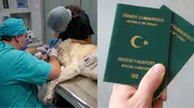 Veterinerler de Yeşil Pasaport Sahibi Olabilecek: Meclis Teklifi Detayları