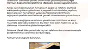 Sosyal Medyada Tepki Çeken Görüntüler Sonrası Müdahale: Çorum’daki İşletmeye Ceza Yağdı