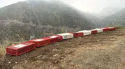Kafeslerden Çıkıp Özgürlüğe Uçtular! Hatay'da Duygulandıran Görüntüler