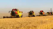 Türkiye'nin Dev Tarım Arazisinde Hasat Başladı! Rekolte Rekor Kırabilir