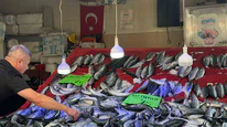 Palamut Bolluğu Fiyatları Düşürdü: Tanesi 75 Lira
