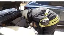 Diyarbakır’da Araç Motoruna Sıkışan 3 Yavru Kedi Kurtarıldı