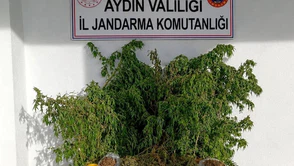 Aydın’da Uyuşturucu Baskını! Evden 3 Kilo Esrar Çıktı