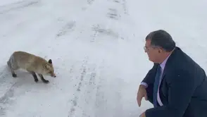 Karla Kaplı Sahara Geçidi’nde Yürek Isıtan Karşılaşma: Tilkiye Uzanan Yardım Eli