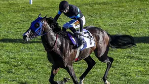 Meclis’te “100 Milyon TL’lik Atlar Kayıp” İddiası: TİGEM’den Sert Yanıt