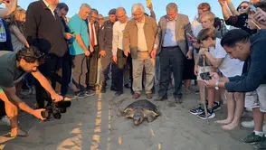 Muğla’da Tedavi Edilen Caretta Caretta ‘Cumhuriyet’ 16 Ayda 11 Bin Km Yol Aldı