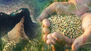 İran’daki Savaş Küresel Gübre Krizini Derinleştiriyor: Çiftçiler ve Gıda Fiyatları Risk Altında