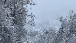 Bolu Gerede Beyaza Büründü: Kar Yağışı Ulaşımı Etkilemedi