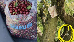 3 Poşet Kiraz İçin 50 TL Bıraktılar İddiası Gündem Oldu! Gerçek Sonradan Ortaya Çıktı