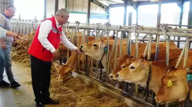 Samsun'da Hayvan Sağlığına 57 milyon TL Destek Verildi