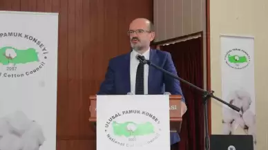 Pamuk Üreticilerine Beklenmedik Destek: Toprağa Ekilmeden Açıklandı!
