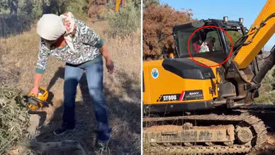 Nurgül Yeşilçay Şehir Hayatını Bıraktı! Traktörle Başlayan Yeni Hayat Şaşırttı