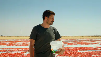 Türkiye’nin Oscar Adayı Adayı Açıklandı: “Hemme’nin Öldüğü Günlerden Biri” Yarışta!