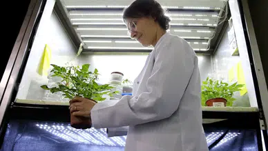 Mikro Yerçekiminde Bitki Yetiştirme: Türkiye’nin İlk Uzay Biyolojisi Deneyi”