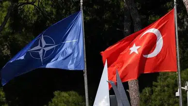 Tilki Dönüp Dolaştı