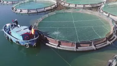 Muğla'nın Su Ürünleri İhracatı Mart Ayında 135 Milyon Doları Buldu