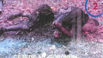 Biz bastık! Siz bakabilir misiniz?