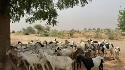Ahiret Kazancım Derneği'nden “İyiliğe Kurban Olsun” kampanyası