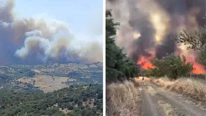 Türkiye Alevlere Teslim: İki İlde Tahliye Kararı, Yangınlar Yerleşim Yerlerini Sardı