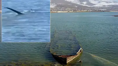 Van Gölü Canavarı Yine Gündemde! Tatvan'da Gizemli Cisim Kameraya Yansıdı