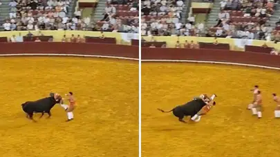 Boğa arenasında ölüm: Genç güreşçi ve doktor aynı gece hayatını kaybetti!