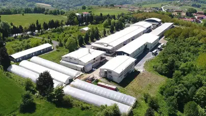 Bir Devrin Sonu mu? 32 Yıllık Giyim Devi Konkordato İlan Etti, Sektör Sarsıldı!