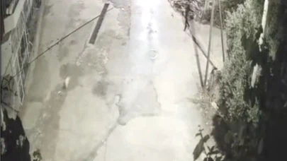 Önce motosikletle kovaladılar sonra köpeği çaldılar