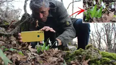 Amasya’da Baharın Müjdecisi Çiçekler Açtı: Milli Servetimizi Kaçırmaya Çalışanlara Uyarı