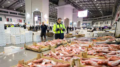 İzmir Su Ürünleri Hali 51 Bin Tonla Türkiye Lideri Oldu