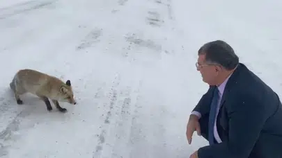 Karla Kaplı Sahara Geçidi’nde Yürek Isıtan Karşılaşma: Tilkiye Uzanan Yardım Eli