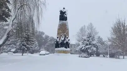 Gece Başlayan Kar Sabah Kenti Beyaza Bürüdü: 524 Köy Yolu Kapandı, Üniversitede Eğitime Ara Verildi
