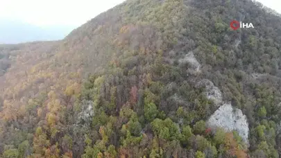 Kastamonu’daki Gizemli Yer Altı Yapıları Definecilerin Talanına Uğradı