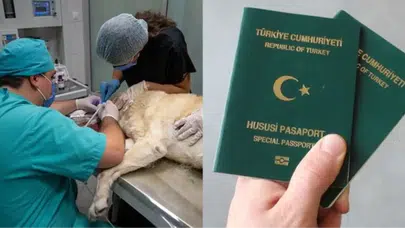 Veterinerler de Yeşil Pasaport Sahibi Olabilecek: Meclis Teklifi Detayları